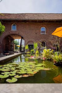 Hoeve de Binnenplaets - Appartementen - Glamping - Familieverblijf