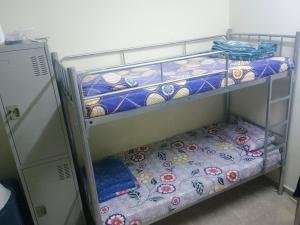 Cozy Vibes Hostel