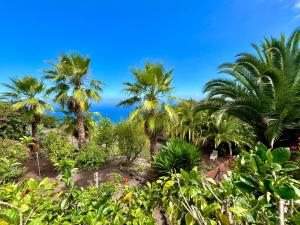 Finca Tenerife - Authentisches kanarisches Haus mit Traumblick, tropischem Garten und Sauna