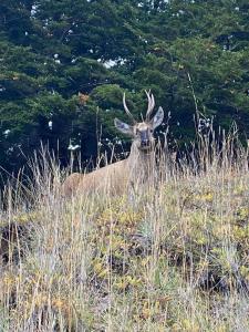 Cabañas El jardín de Jacinta