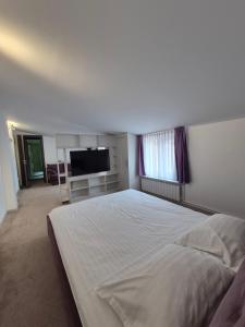 Apartament Magnolia Nearby City Center With Parking