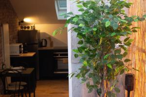 Appartements Skyline,Downtown Station, Terrace, Netflix : photos des chambres