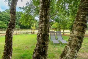 Maisons de vacances Le Chene des Loges - Campagne - Familial : photos des chambres