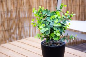 Appartements Skyline,Downtown Station, Terrace, Netflix : photos des chambres