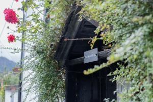 Charming Eco Hideaway on the Dee River with Private Relaxing Hot Tub