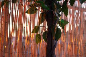 Appartements Skyline,Downtown Station, Terrace, Netflix : photos des chambres