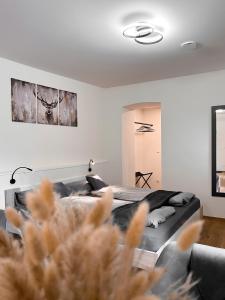 Studio Cervus with BrixenCard