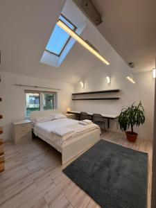 La casa Decebal- centru Cluj