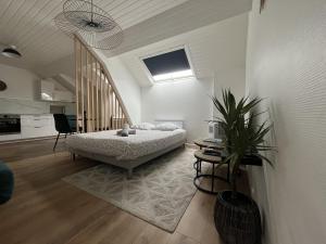 Appartement cœur de ville - Angers