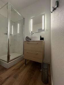 Appartements Appartement coeur de ville - Angers : photos des chambres