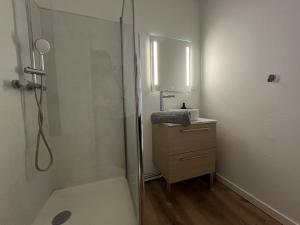 Appartements Appartement coeur de ville - Angers : photos des chambres