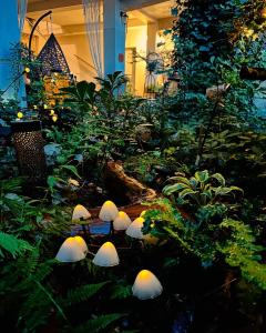 Pokoje przy Bulwarach