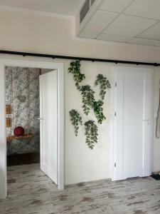 Apartament 807
