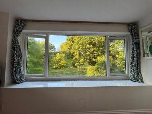 The Guest Room