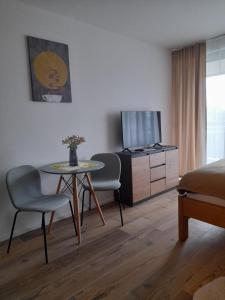 Modern Alpine Apartment Corso Harrachov