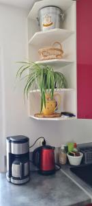 Appartements Appartement VANILLE : photos des chambres
