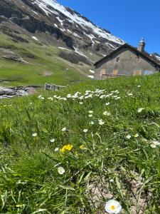 Chalets T3 classe 3 etoiles, pour 6 personnes dans un Chalet, du samedi au samedi : photos des chambres