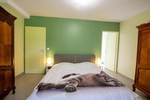 Charmante maison piscine privée