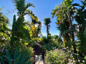 Finca Tenerife - Traumblick, tropischer Garten, viel Platz & Ruhe
