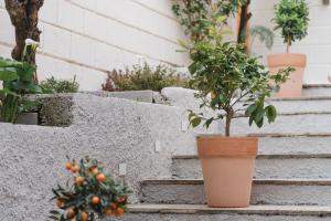 La Residenza del Barone