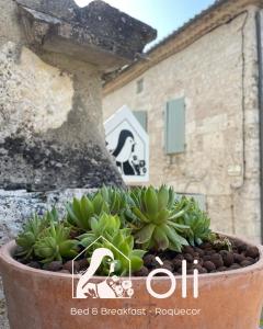 B&B / Chambres d'hotes Oli : photos des chambres