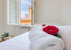 Cavour 9 - Luminoso 3 Camere Borgo Stretto Vista in Centro