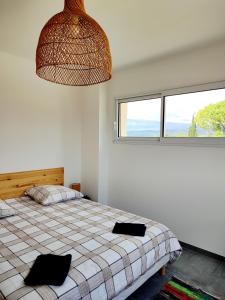 Maisons de vacances Le Picholine : photos des chambres