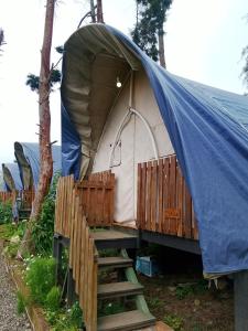 Dieng glamping syariah