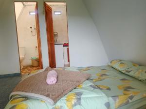 Dieng glamping syariah