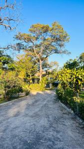 Happy Forest B&B