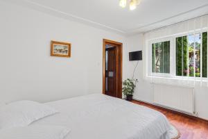 Pensiunea Valea Dornelor