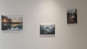 Ferienwohnung Wittle