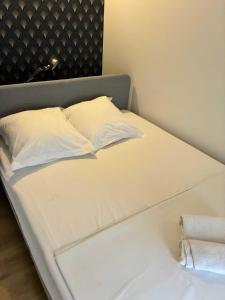 Appartements Elegant and spacious apartment for 4 people near Bellecour : photos des chambres
