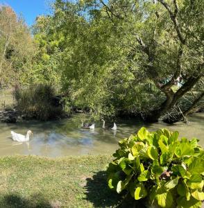 Maisons de vacances Gite Rive Charente Le Bateau : photos des chambres