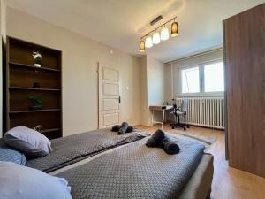 City Centre Gambrinus Flat