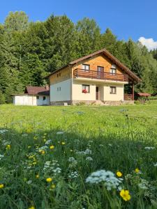 Pensiunea Floare de Colt