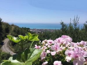 B&B dei Fiori