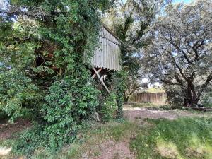Chalets Cabane perchee de Lys dans les chenes verts et le micocoulier : photos des chambres