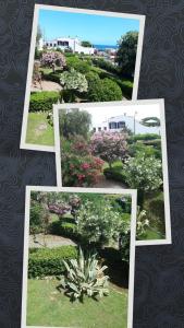 CERIALE AMPIO GIARDINO VISTA MARE