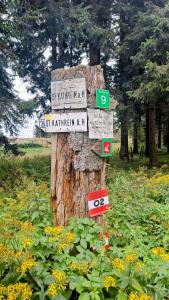 Ski, bike, hike & chill!