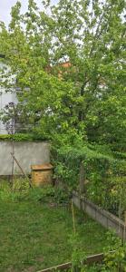 Chambre dhôtes avec petit déjeuner