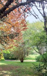 B&B / Chambres d'hotes Domaine Le Verger La Cerise : photos des chambres