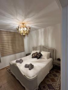 Paradise Gardens Luxury Oasis