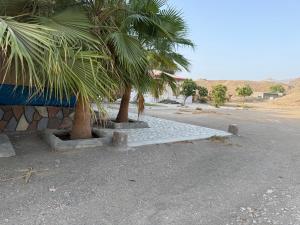 استراحة الأنغام