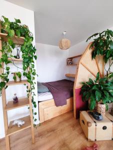 Appartements Cocon Urbain vue et calme : photos des chambres