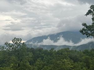 LOVED, Stunning MTN Views, Game room, Fire Pit