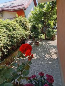 Garsoniera cu bucătărie Clara, Iulius Mall