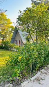 Happy Forest B&B