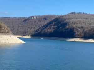 Chambre Le Renard 4 pers Spacieuse confort et accès jacuzzi-Etablissement les gîtes de la perle de Vouglans-