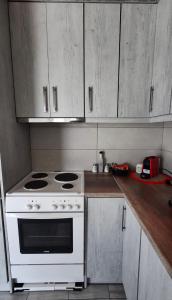 Olivo Apartment - Studio